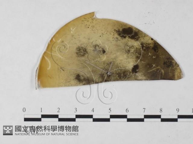 登錄號:F0023224藏品圖，第3張