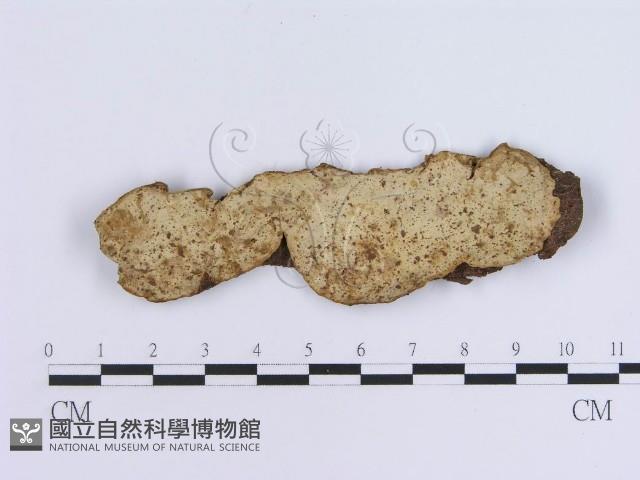 登錄號:F0003224藏品圖，第3張