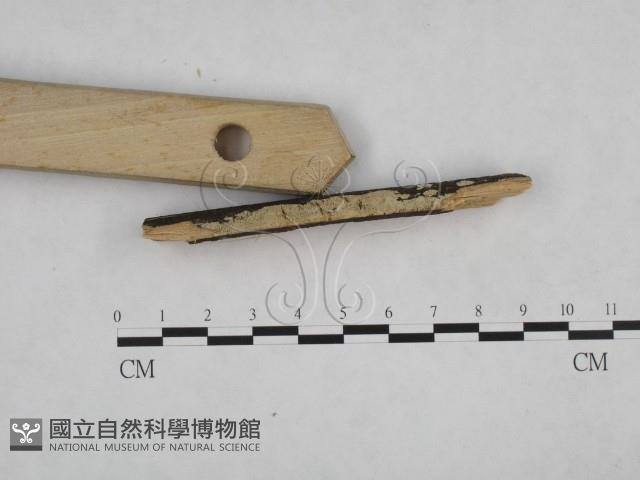 登錄號:F0024824藏品圖，第3張