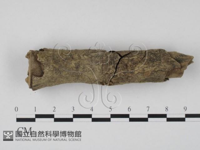 登錄號:F0002924藏品圖，第3張