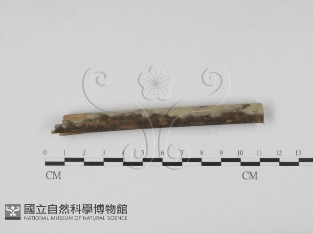 登錄號:F0003924藏品圖，第3張