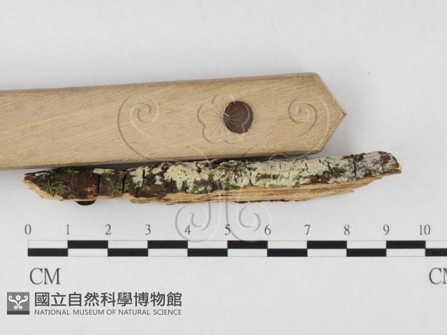 登錄號:F0026624藏品圖，第3張