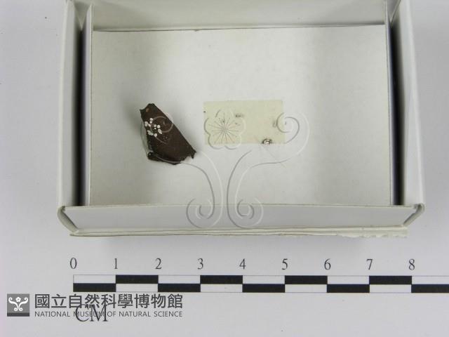登錄號:F0021624藏品圖，第3張