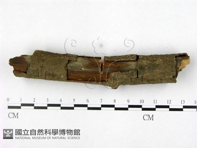 登錄號:F0022424藏品圖，第3張