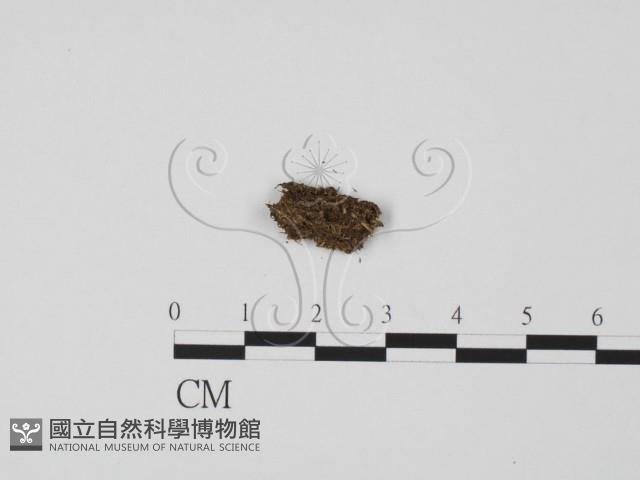 登錄號:F0000724藏品圖，第3張