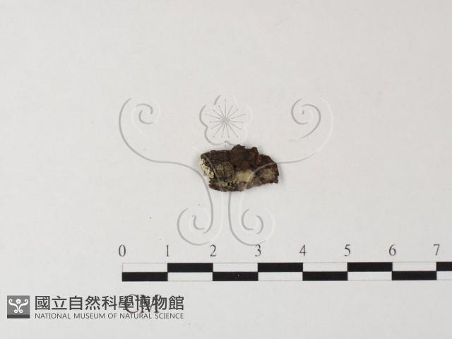 登錄號:F0016724藏品圖，第3張