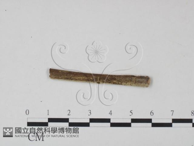 登錄號:F0021724藏品圖，第3張