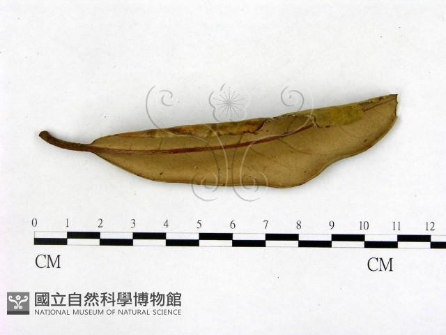 登錄號:F0004724藏品圖，第3張