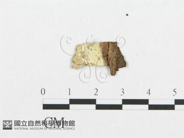 登錄號:F0009524藏品圖，第3張