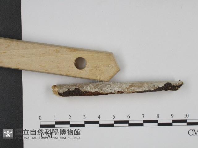 登錄號:F0004124藏品圖，第3張