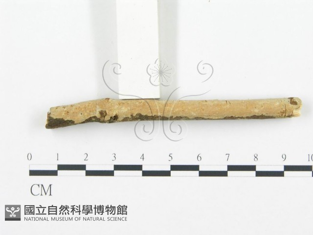 登錄號:F0003124藏品圖，第3張