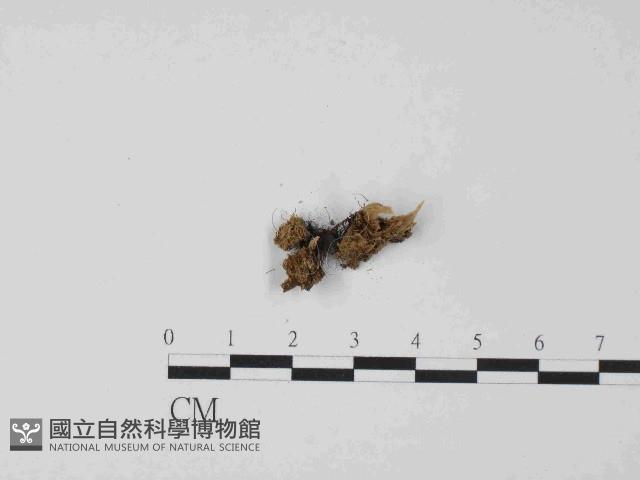 登錄號:F0024024藏品圖，第3張