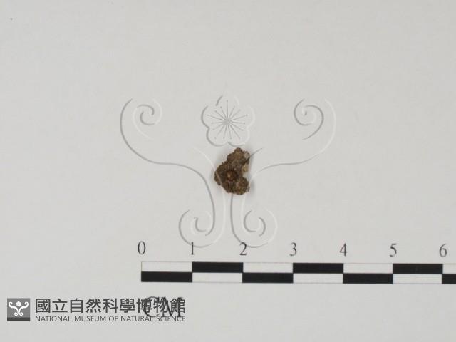 登錄號:F0011324藏品圖，第3張