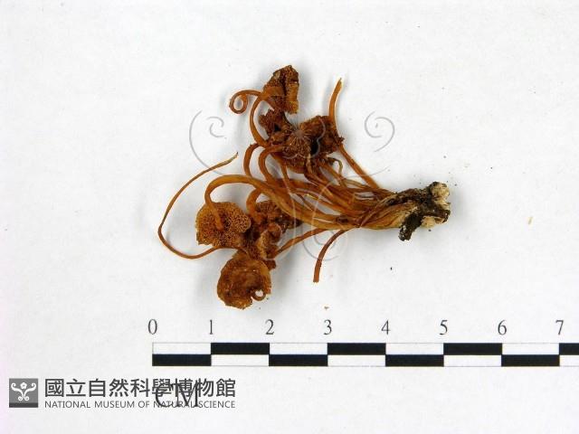 登錄號:F0002204藏品圖，第3張