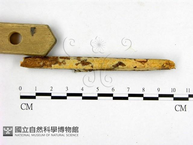 登錄號:F0003204藏品圖，第3張