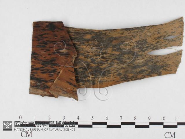 登錄號:F0026804藏品圖，第3張