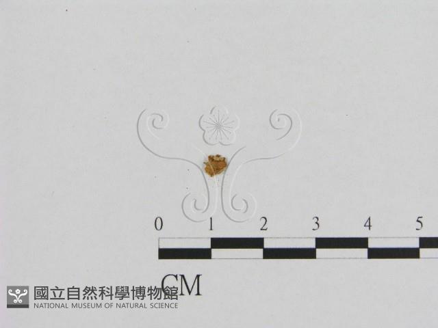 登錄號:F0001804藏品圖，第3張