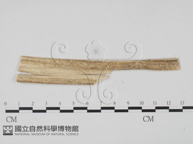 登錄號:F0011804藏品圖，第3張