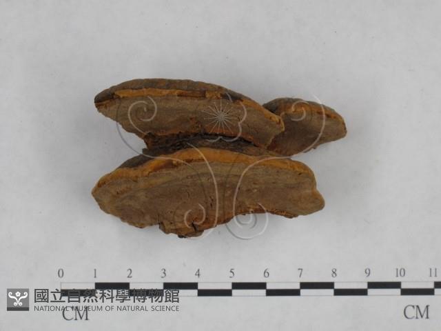 登錄號:F0024804藏品圖，第3張