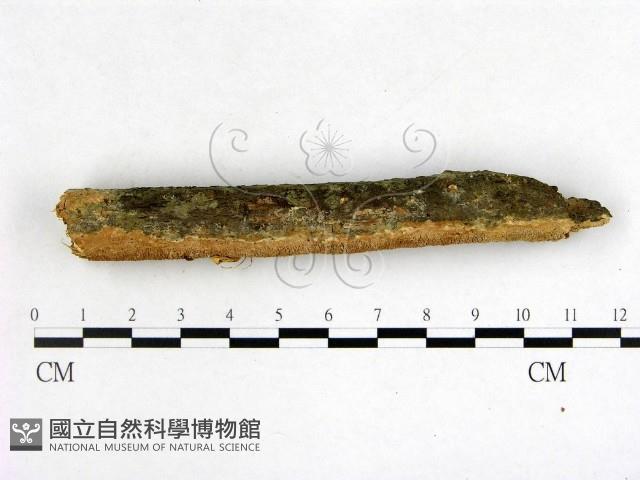 登錄號:F0022604藏品圖，第3張