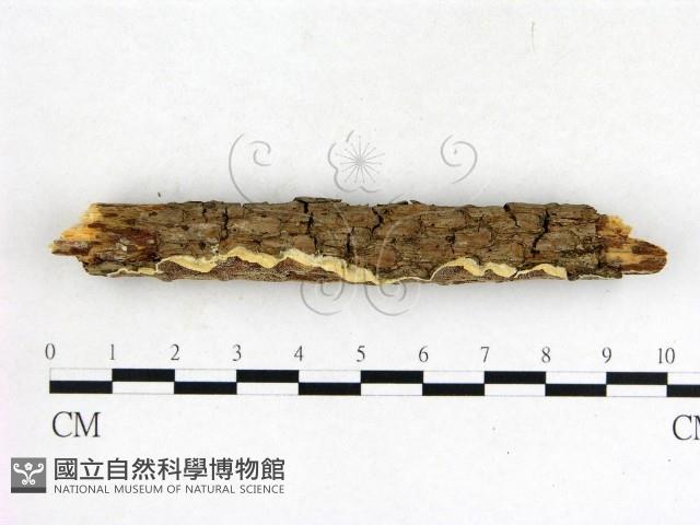 登錄號:F0001404藏品圖，第3張