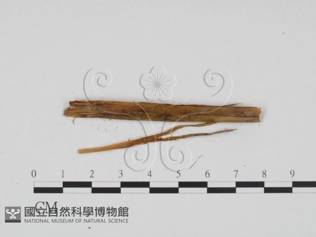 登錄號:F0011404藏品圖，第3張