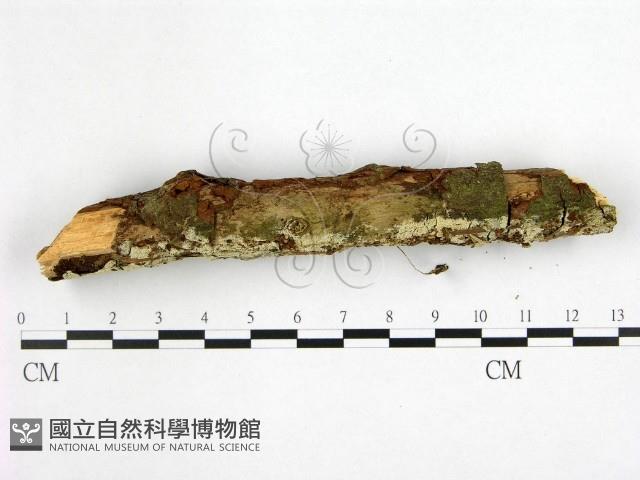 登錄號:F0022404藏品圖，第3張