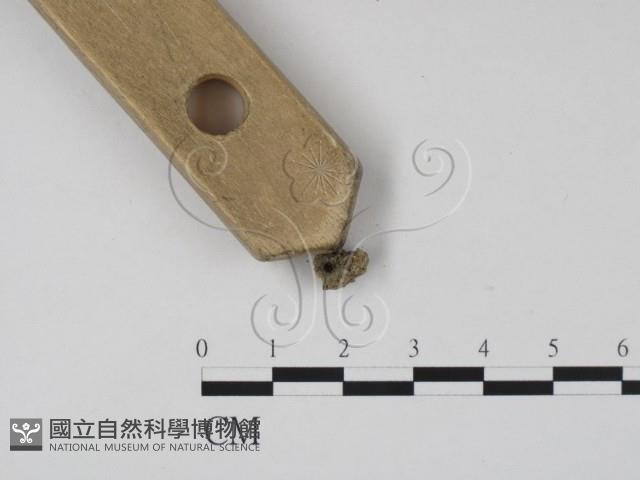 登錄號:F0007404藏品圖，第3張