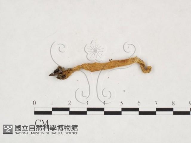 登錄號:F0003404藏品圖，第3張