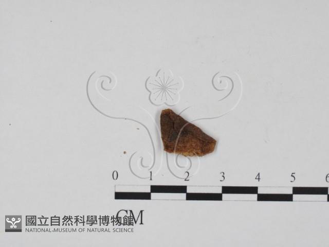 登錄號:F0011704藏品圖，第3張