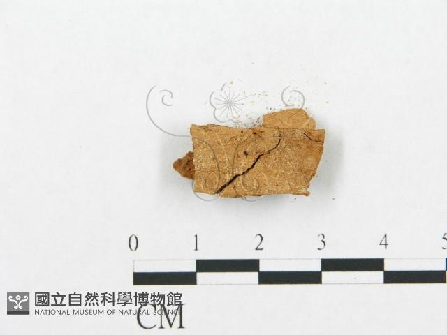 登錄號:F0002504藏品圖，第3張
