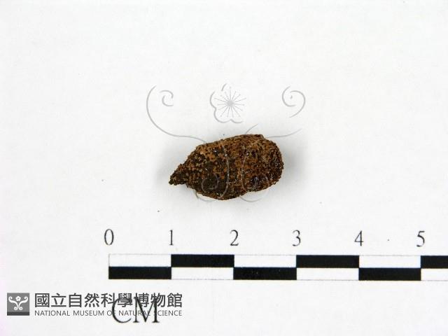 登錄號:F0002104藏品圖，第3張