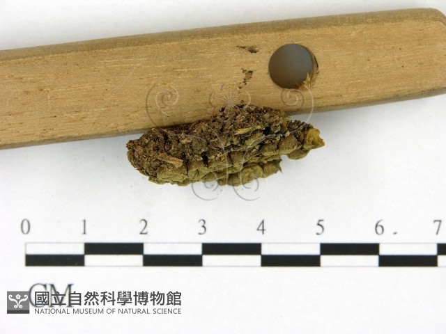 登錄號:F0023104藏品圖，第3張