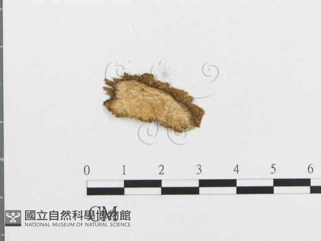 登錄號:F0010004藏品圖，第3張