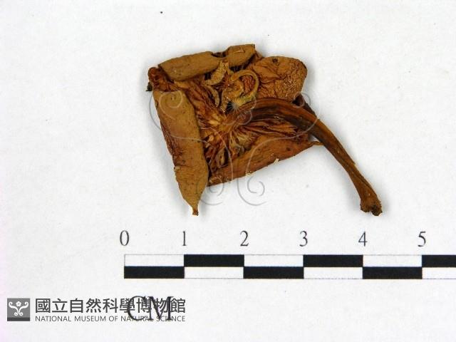 登錄號:F0016304藏品圖，第3張
