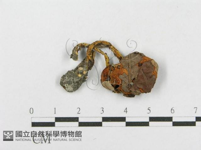 登錄號:F0002304藏品圖，第3張