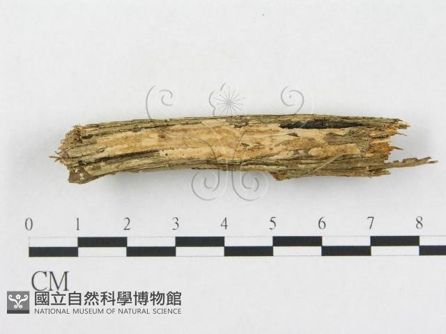 登錄號:F0003214藏品圖，第1張