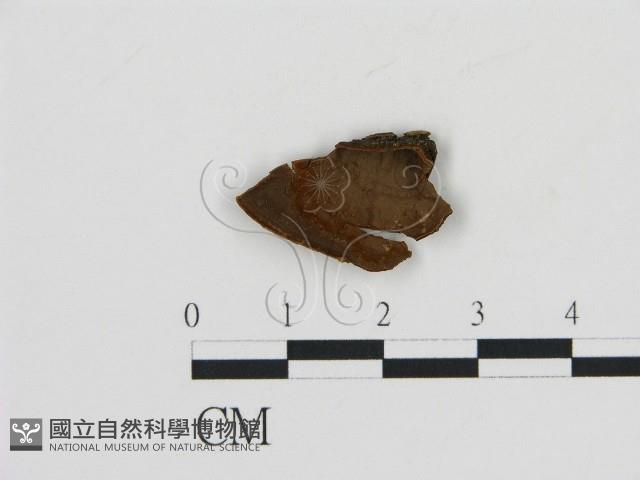 登錄號:F0016814藏品圖，第3張