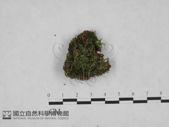 登錄號:F0024814藏品圖，第3張