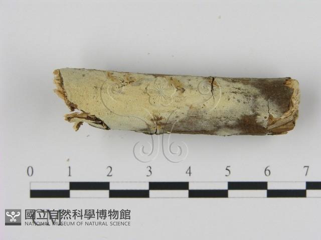 登錄號:F0002814藏品圖，第3張