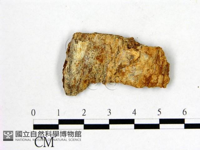 登錄號:F0005914藏品圖，第3張