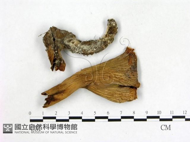 登錄號:F0003914藏品圖，第3張