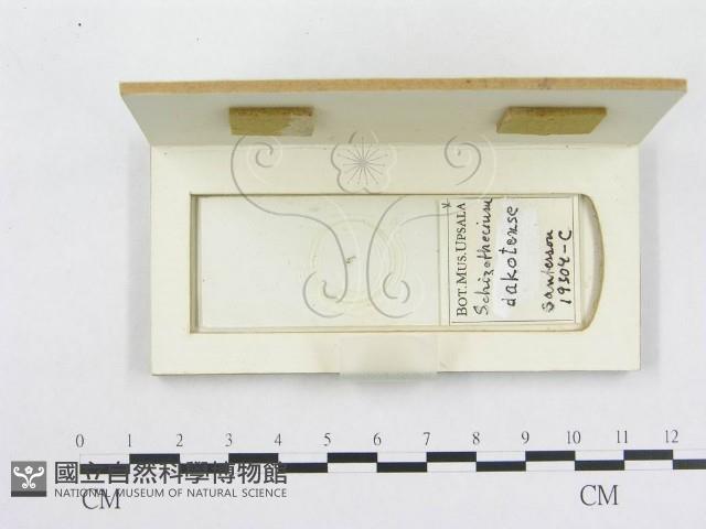 登錄號:F0010614藏品圖，第3張