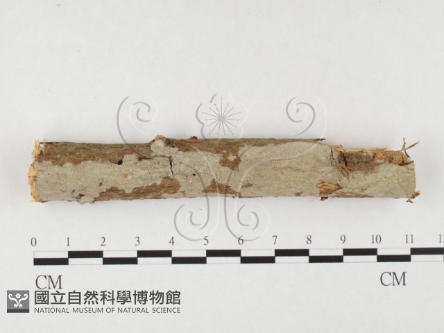 登錄號:F0026614藏品圖，第3張