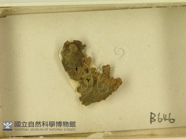 登錄號:F0021614藏品圖，第3張