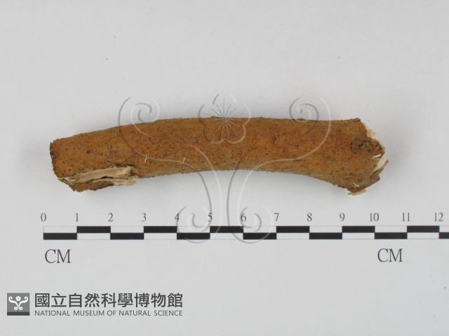 登錄號:F0023614藏品圖，第3張