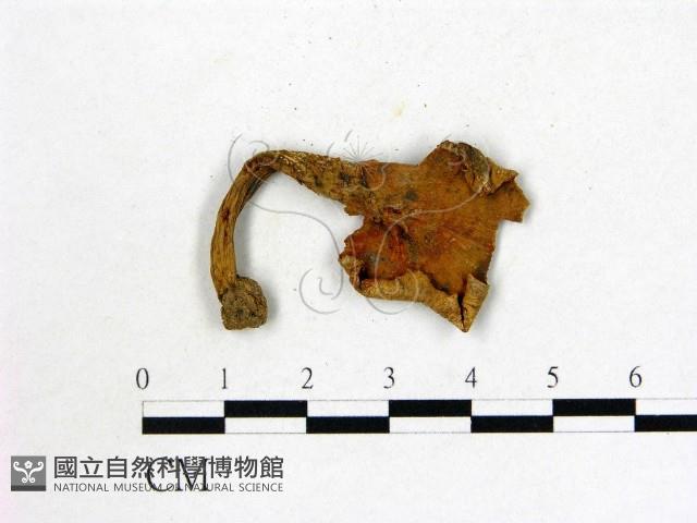 登錄號:F0011414藏品圖，第3張