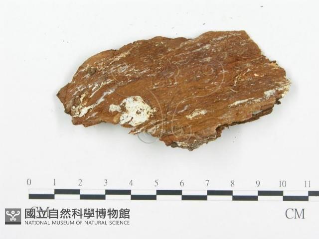 登錄號:F0009414藏品圖，第3張