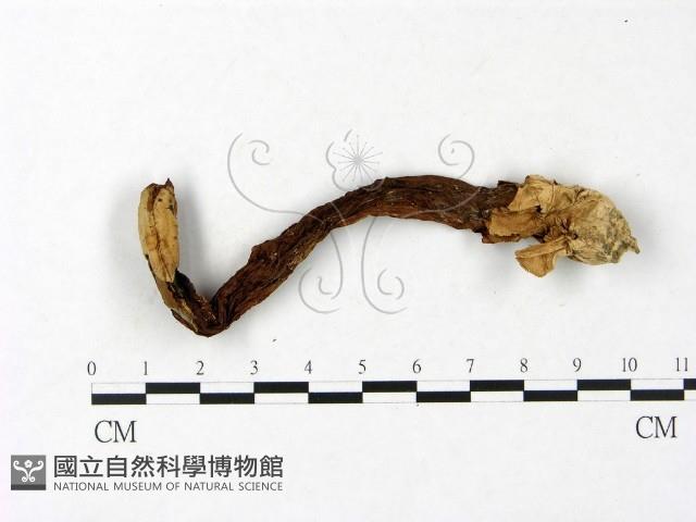 登錄號:F0023414藏品圖，第3張