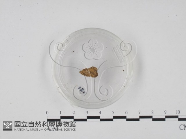 登錄號:F0003414藏品圖，第3張